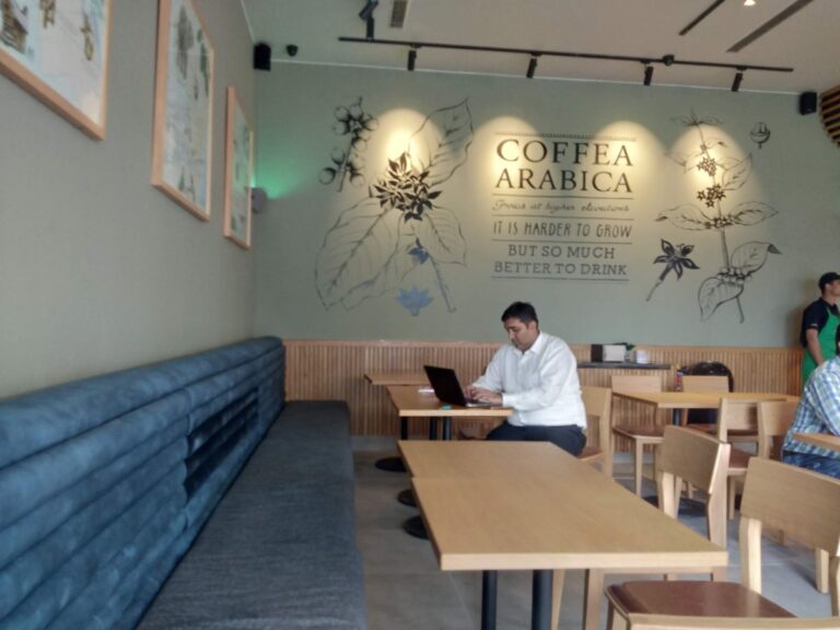 starbuck 135 candor 3